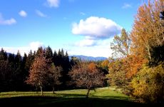 Aussicht von der Fleischhackeralm 