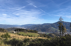 Blick auf das Almgasthaus Puster am Madereck